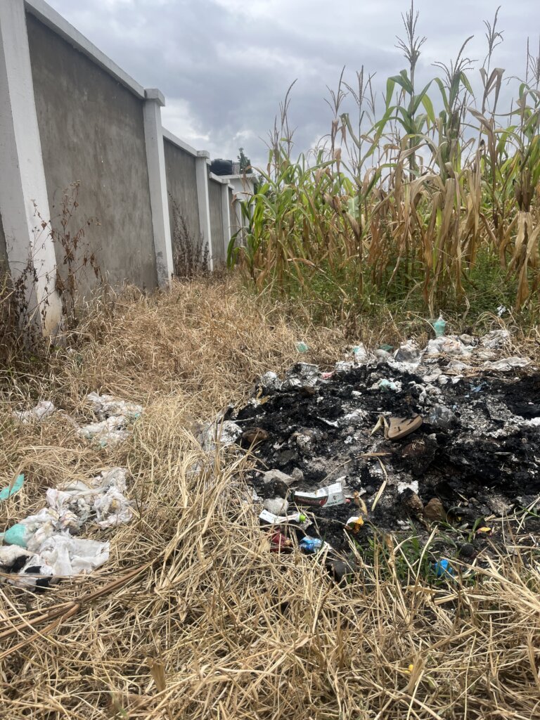Safe Diaper Waste Management in Moshi,Tanzania