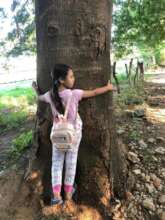Love of Nature