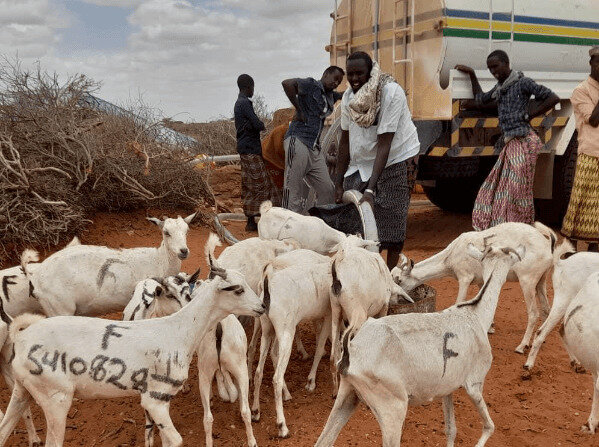 Provid Humanitalian aid for People in Somalia