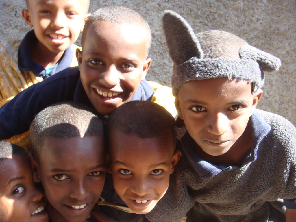 Establish eLibrary for Ethiopian Students