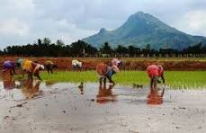 EMPOWERING RURAL TAMIL WOMEN IN AGRICULTURE
