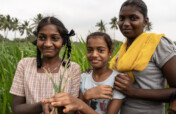 From Classroom to Kitchen: Growing Nutrition