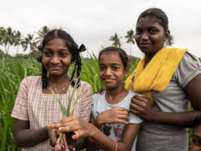 From Classroom to Kitchen: Growing Nutrition