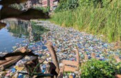 Strengthening Youth Action to Protect Lake Kivu