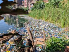 Strengthening Youth Action to Protect Lake Kivu