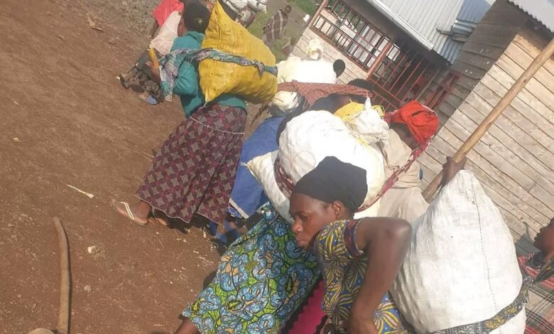 Supporting Hygiene and Dignity for Displaced Women