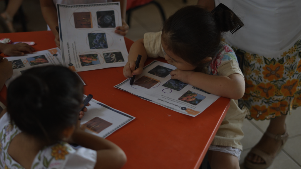 Give Indigenous Children a Fair Start in Education