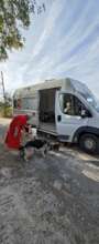 Caregiver with her dog entering the Spay Shuttle