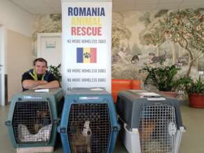 Spayathon at Center of Hope
