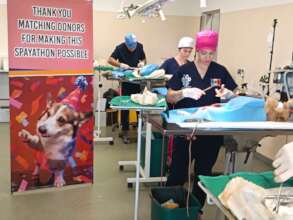 Sterilization at Center of Hope