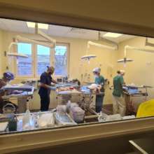 Spayathon at the Center of Hope Bucharest