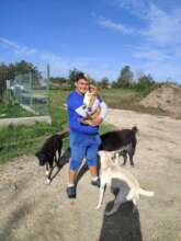 dogs from an orphanage were returned