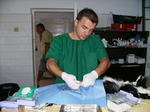 Dr. Aurelian Stefan doing spay/neuter surgery