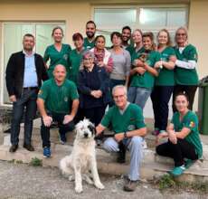 Dumitresti spayathon team