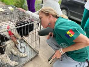 Nancy at the Dumitresti Spayathon for 137 sn