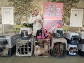 Spayathon at Center of Hope