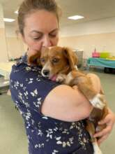 Nurse Oana snuggles a patient
