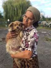 from a recent spay campaign in Oltenita