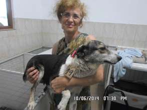 her girls were all spayed !