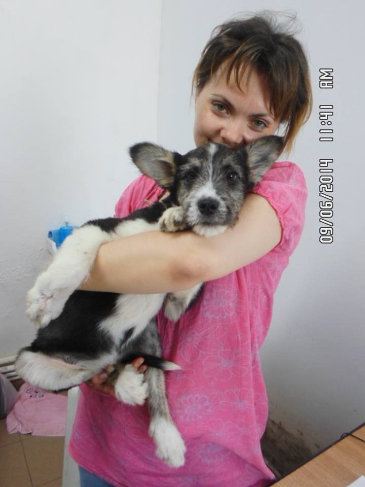 Mihaela holds Labush following neuter