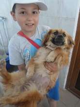 young boy spays his best friend