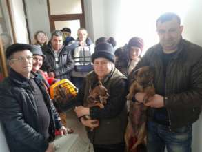 Tecuci spayathon for 97 animals