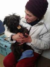 Tecuci spayathon March 2016