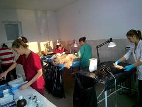 Tecuci Spayathon