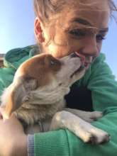 Tg Frumos November campaign