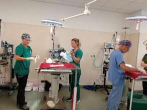 Visiting USA Vet Team and nurse Kelly from UK