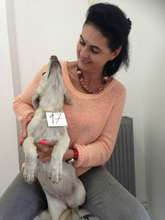 Roxana organizes the events