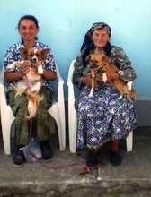 citizens at our spay event in Craiova