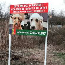 Banner for spay and neuter