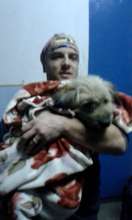 Dr. Aurelian Stefan in Bistrita