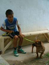 attending the spayathon