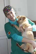 Campinceanu mobile spay day