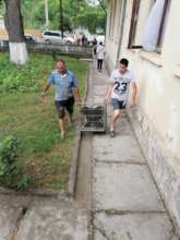 Community Volunteers Help