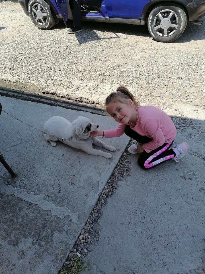 Little girl with her dog at a spayathon