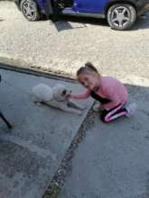 Little girl with her dog at a spayathon