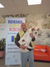 Dog spay and Center of Hope