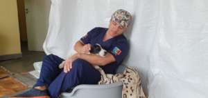 Dr. Aurelian Stefan, Vet Director