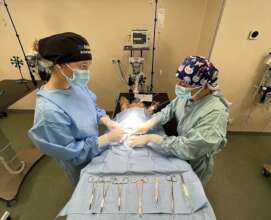 Veterinary Training at COH