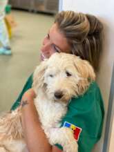 Chabeli with a patient who was adopted to Holland