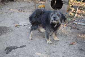 Willow's former "home"