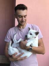 Getting his best friend spayed