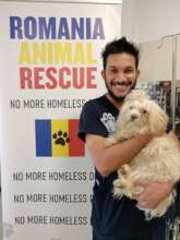 Spayathon day at Center of Hope