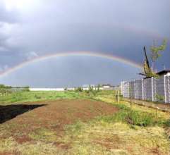 The land for the new spay neuter extension