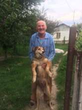 spay shuttle reaches remote villages to help