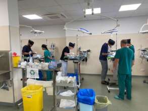 Vets training Vets at Center of Hope