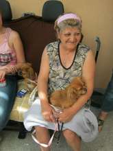 She will no longer have to abandon puppies!